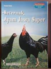 Berternak Ayam Jawa Super