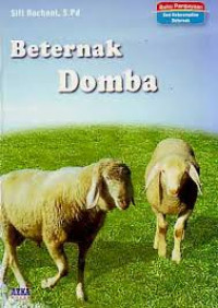 Berternak Domba