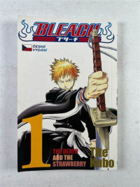 BLEACH 1 The Death And The Stawberry
