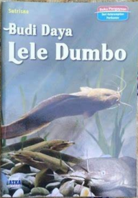 Budi Daya Lele Dumbo