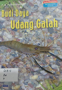 Budi Daya Udang Galah