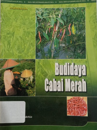 Budidaya Cabai Merah