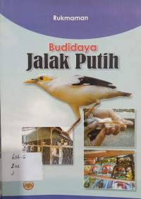 Budidaya Jalak Putih