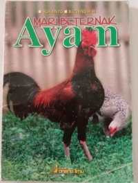 Mari Berternak Ayam