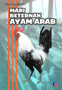 MARI BERTERNAK AYAM ARAB