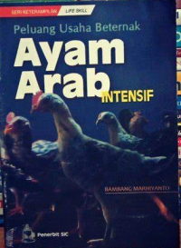 Peluang Usaha Berternak Ayam Arab