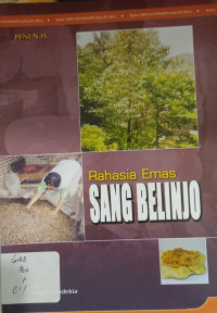 Rahasia Emas SANG BELINJO