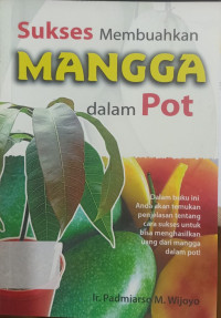 Sukses Membuahkan MANGGA dalam Pot