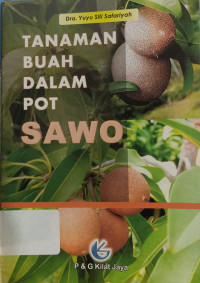 Tanaman Buah Dalam Pot Sawo